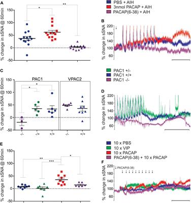 PACAP-PAC1 Receptor Activation Is Necessary for the Sympathetic Response to Acute Intermittent Hypoxia